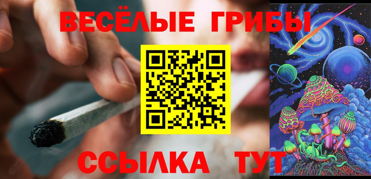 Псилоцибиновые грибы GOLDEN TEACHER Астрахань