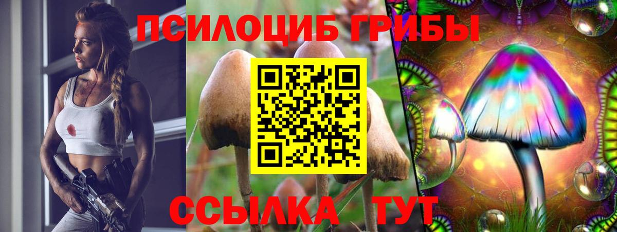 Астрахань  Псилоцибиновые грибы Psilocybe  Вход с VPN 